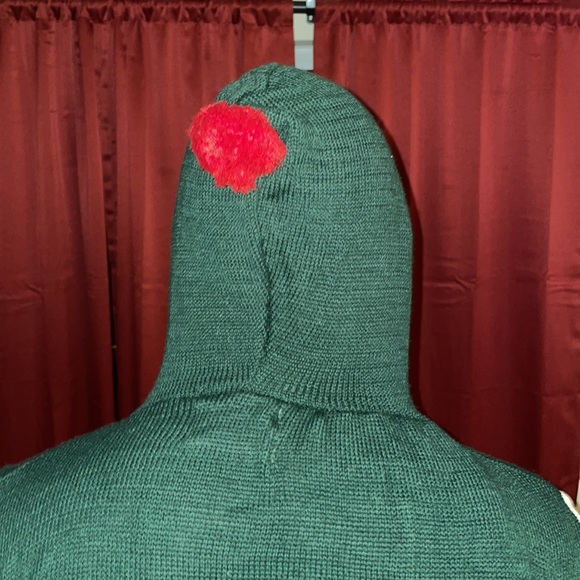 Green and Red Holiday Elf costume - Picture 5 of 13